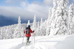 Hurricane Ridge in winter.  Photo from NPS