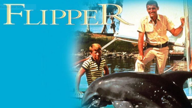 Flipper (TV Series 1964–1967) - IMDb